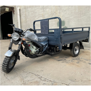 Motocicleta de 3 ruedas para adultos al <span class=keywords><strong>por</strong></span> mayor, velocidad máxima motorizada, 40 km/H, triciclo eléctrico, capacidad de carga de 800kg para pasajeros - Product Image 1