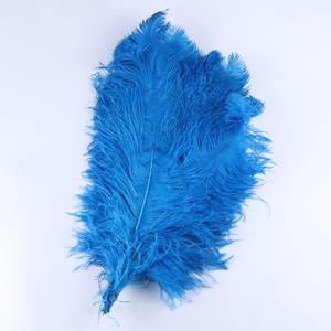 Tiges épaisses en vrac mariage fleur stands blanc artisanat <span class=keywords><strong>60</strong></span>-65 <span class=keywords><strong>cm</strong></span> grande couleur plume <span class=keywords><strong>d</strong></span>'<span class=keywords><strong>autruche</strong></span> pour mur Art mariage carnaval <span class=keywords><strong>d</strong></span>écor - Product Image 6