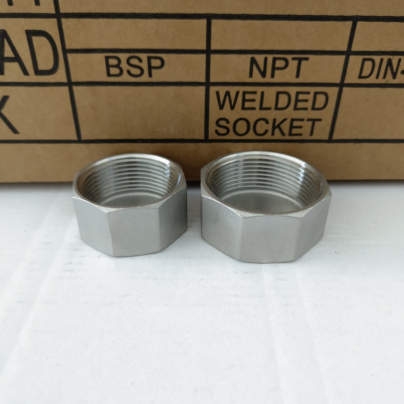 OEM Manufacture High Quality Stainless Steel SS304 SS316 Hexagon Cap with BSP NPT Thread End