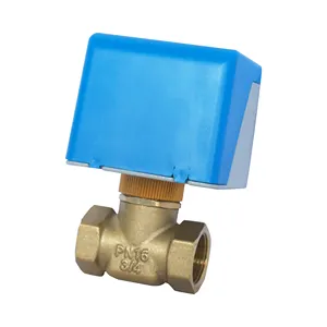 SiXi Valve Factory Production Brass Valve 2 Way Electric Stop Valve For Water Flow Control 220VAC 24VAC 110VAC DN15/20/25/32