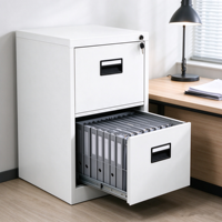 Armoire de classement métallique moderne à 2 tiroirs, en acier, pour le rangement d'archives à domicile ou au bureau, personnalisable