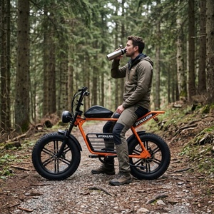Vélo électrique à gros pneus orange vif avec phare vintage, vélo silencieux pour la randonnée en plein air et l'observation des oiseaux - Product Image 4