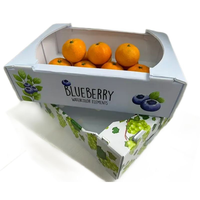 Bacs de rangement en plastique PP personnalisables de 3mm d'épaisseur organisateurs pliables pliables pour la maison/bureau coupe traitement boîtes de déménagement