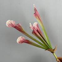 Bouquet décoratif de Nepenthes artificiel pour la décoration de bureau, de jardin et de la maison, fleurs artificielles en plastique, plantes artificielles