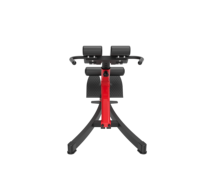 Banc d'hyperextension réglable 350 lbs, chaise romaine, équipement d'exercice multifonctionnel pour les fessiers, le bas du dos, les abdominaux, banc de fitness