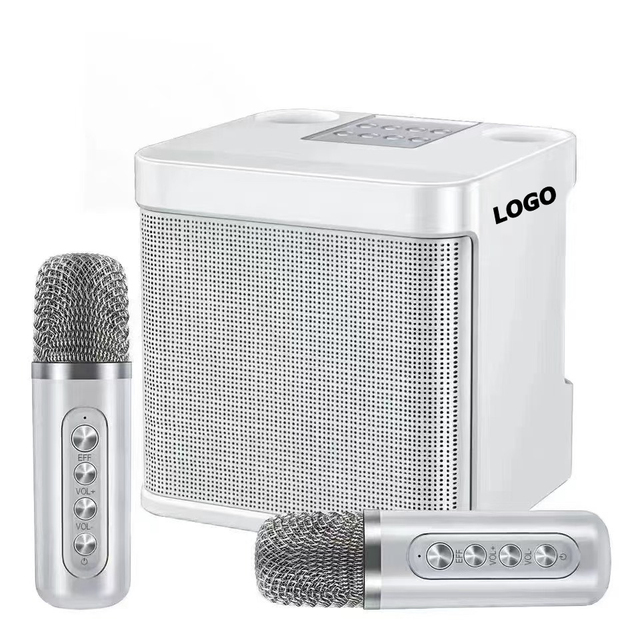 Bluetooth Karaoke Speaker System with Wireless Microphone, TV Soundbar All-in-One, Custom Logo Party Gift Set