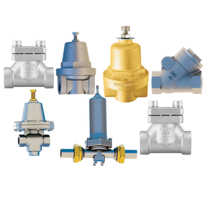 Filtro criogenico a bassa pressione DGF15/25B (ottone/acciaio inossidabile) per la prevenzione dell'ingresso di contaminanti nei <span class=keywords><strong>gas</strong></span> industriali e medicali - Product Image 4