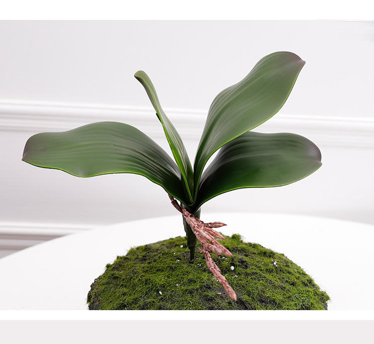 เอ็ม 20ซม