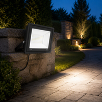 Projecteur LED ultra-lumineux 50W IP66 étanche en forme de pomme pour extérieur, large plage de tension, pour jardin et aménagement paysager