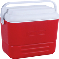 Ensemble de bidons isothermes 36L/0.7L avec poignée pour aliments, canettes, camping, transport d'eau, stockage, robinet, grande capacité, extérieur