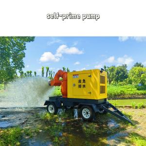 Pompe à eau auto-amorçante à grand débit <span class=keywords><strong>Pedrollo</strong></span> pour eaux usées d'élevage 5,5 CV - Product Image 6