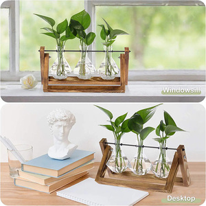 Terrario de Escritorio para Plantas Aéreas con Base de Madera Sólida y Florero de Vidrio para Propagación de Plantas - Product Image 5