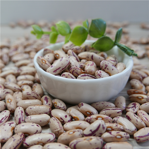 Fábrica OEM ODM Dry Non GMO Light Speckled Pinto Beans Frijoles de riñón rojos y blancos - Product Image 3