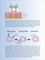 Máquina de Belleza Chinloo para Reafirmar la Piel con Electroporación Dérmica Superconductora No Invasiva DEEPBA