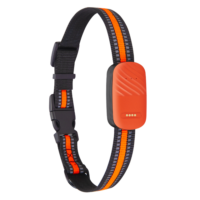 4G Dog Cat Animals Pets GPS Tracker South America Version Tracking Device Smart Collar Brazil Argentina Chile Colombia Peru Use