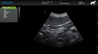 Appareil d'échographie Doppler couleur vétérinaire haut de gamme EURVET, système sur chariot 4D avec écran LED HD de 19 pouces