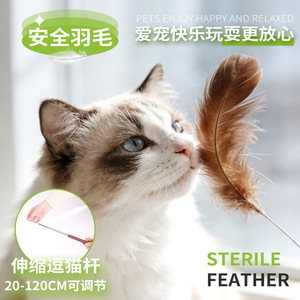 Ce jouet pour chat est doté d'une poignée télescopique, d'une tête longue, durable et résistante aux morsures, et de têtes interchangeables. Il est conçu pour - Product Image 3