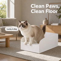 Bac à litière pour chat jetable pliable, bac à litière pour chat extra large 47x33x18cm, gain de place pour les voyages en plein air, vente en gros OEM ODM