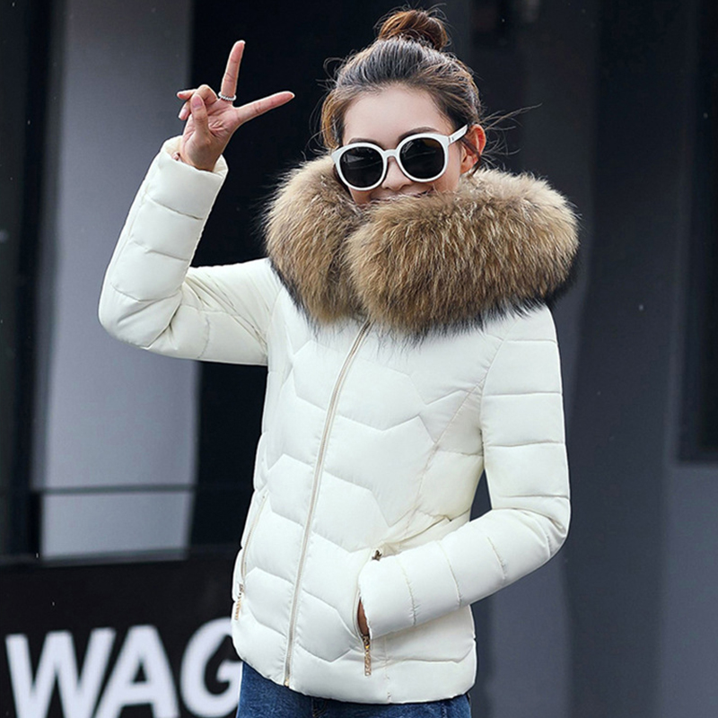 White + Brown Fur