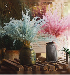 Vente en gros de fleurs séchées naturelles, vraies plantes, <span class=keywords><strong>fougère</strong></span> éternelle, feuilles de <span class=keywords><strong>fougère</strong></span> conservées pour la décoration intérieure - Product Image 6