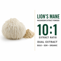 Extrait de champignon Crinière de lion Qinshantang en poudre 10:1, double extrait, ingrédient en vrac, OEM, marque privée, biologique