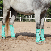 Bottes anti-mouche pour cheval, Protection contre les mouches, maille légère, répulsif contre les piqûres d'insectes, lot de 4