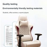 Compvcter Cheap Gaming Chair Game Ergonomic Office Furniture Gamer Chairs Gaming Chair Racing Pink