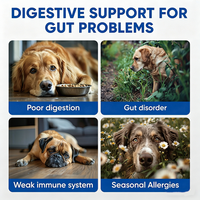 Booster de santé intestinale OEM pré-probiotiques et enzymes digestives pour chien à mastication douce 3 milliards d'UFC inuline poudre de citrouille