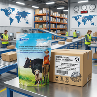 BlueRumen RumiLys - L-Lisina Específica para Rumiantes, Aminoácido, Minerales y Oligoelementos en Polvo, Aditivo para Alimento, Shandong, para Ganado Vacuno y Ovino