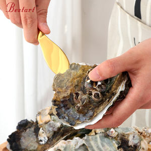 Accessori per la cucina in acciaio inox all'ingrosso strumenti per l'<span class=keywords><strong>apertura</strong></span> <span class=keywords><strong>ostriche</strong></span> e crostacei in metallo coltello per <span class=keywords><strong>ostriche</strong></span> - Product Image 1