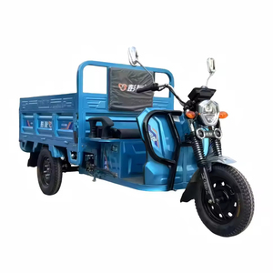 2025 Nieuwe 60V 1000W Blauwe Open 1.6m Elektrische Driewieler met 800kg Laadvermogen 30-50km/u 90km voor Transport - Product Image 6