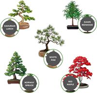 Hadiah produk berkebun unik Deluxe Kit pemula tanaman tumbuh taman dalam ruangan pohon Bonsai set hadiah untuk anak-anak