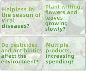 Dora Organic Quelado Micronutriente Zinc Líquido Agroquímicos para un mejor crecimiento de las plantas - Product Image 2