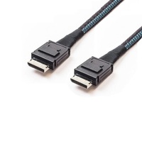 Kabel Oculink 8611 4X ke 8643 4X Sff-8643 ke Sff-8611 MiniSAS 36Pin Kabel Ekstensi Transmisi Data Kecepatan Tinggi 0.5m untuk Server