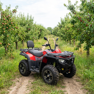 Quad ATV JL 300cc <span class=keywords><strong>4x4</strong></span>, Mini <span class=keywords><strong>Jeep</strong></span> per Tutti i Terreni, per Trasporto Veicoli Globali, Ordini all'Ingrosso, Commercio - Product Image 1
