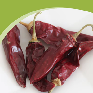 فلفل حار مجفف عالي الجودة رائج البيع بنكهة طبيعية وسعر رائع - Product Image 3