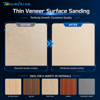 Mesin Pengamplas Permukaan Kayu Otomatis Profesional untuk Veneer Halus dan Papan Partikel di Industri Konstruksi