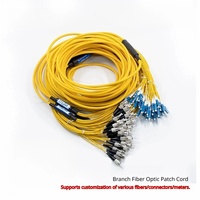 Cordon de brassage fibre optique monomode G652D SC LC FC ST, personnalisable en nombre de fibres et en longueur, pour FTTH et réseaux CCTV