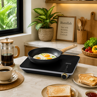 Fournisseur de plaques à induction OEM 2000W, plaque de cuisson électrique portable avec commande tactile et protection contre la surchauffe