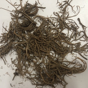 1019 approvisionnement direct d'usine en <span class=keywords><strong>vrac</strong></span> Valeriana officinalis racine de valériane - Product Image 4