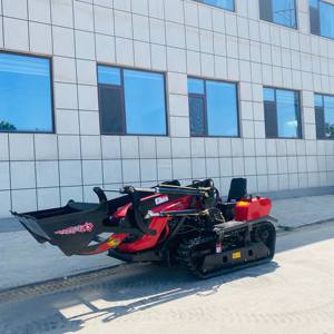 Meilleur prix pour les tracteurs miniatures de jardin et d'agriculture de bonne qualité fabriqués en Chine - Product Image 2