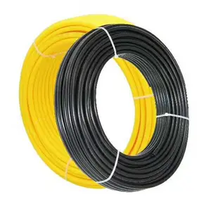 Polyamide11 PA6ナイロン12 PA11 PA12ホースPA66TUBE自動車用