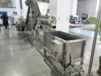 Automatische tomatenpuree productielijn 500kg/uur, tomatensaus verwerkingsmachine met CE-certificering