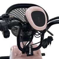 Tricycle électrique Holladay 48v 250w à deux places, moteur avant, tricycle multifonction, moto 48v, vélo électrique pliable à 3 roues