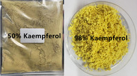 Kaempférol 98% 50% en poudre, extrait de Sophora Japonica, CAS 520-18-3, supplément naturel de Kaempférol, matière première, OEM, marque privée
