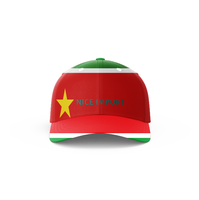 Casquette de baseball avec drapeau de la République dominicaine pour hommes et femmes, design réglable, idéale pour la randonnée, la marche, le camping et les activités de plein air