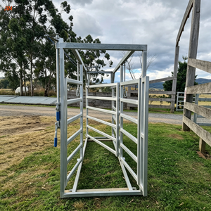 Sistema di gestione del bestiame a 3 vie con cancelli manuali per le bestiamecalle australiane - Product Image 5