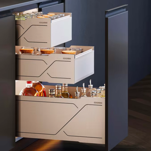 Cesta extraíble de aluminio Goldmine de doble/triple nivel para especias, organizador de cajones con cierre suave para condimentos en gabinetes de cocina - Product Image 1