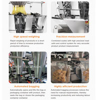 Voorgevormde zakken met speciale vorm, vulling, verzegeling, gedroogd fruit, gedroogde groenten, automatische roterende staande zakken, zakjes, plastic, papier, roestvrij staal