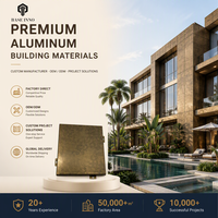 Panneaux de Façade Solides en Aluminium pour Revêtement de Bâtiment, Mur Rideau Modulaire Anti-Corrosion en Métal Perforé, Personnalisés OEM Inno 2026